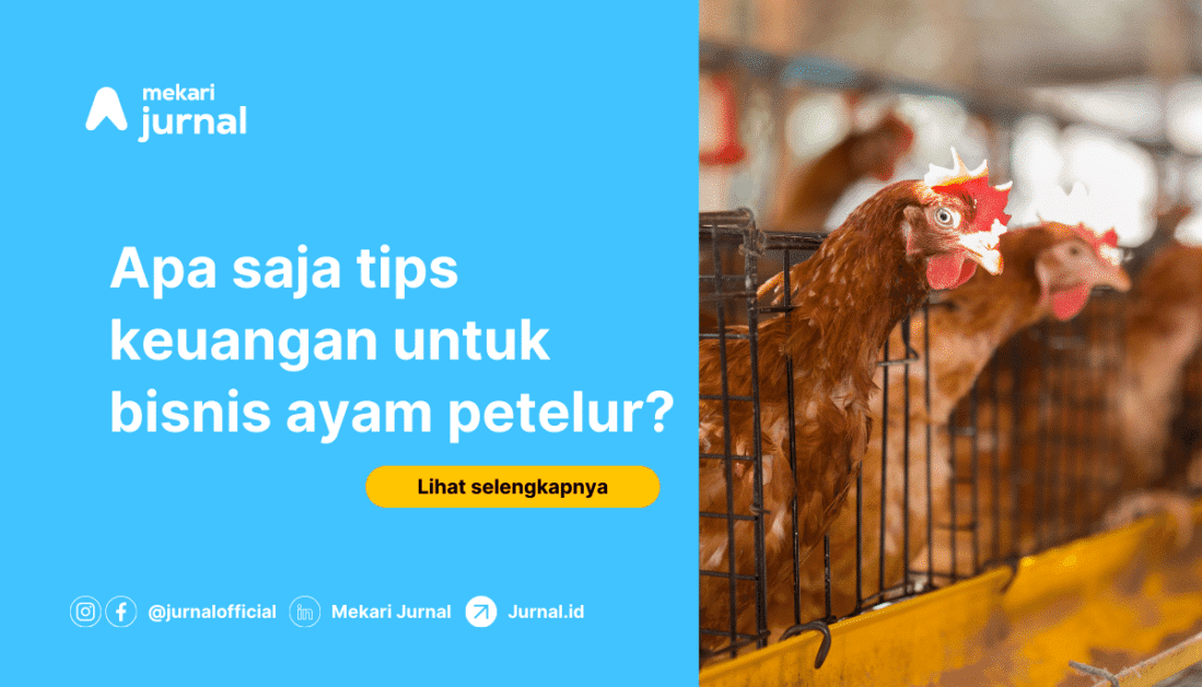 Bisnis Ayam Petelur 720X412
