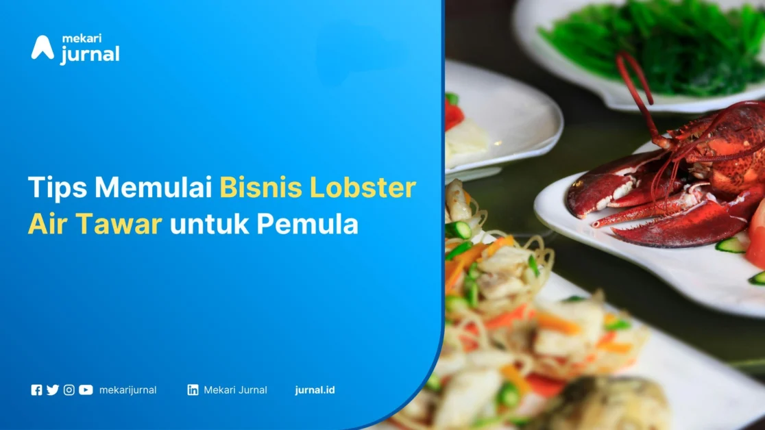 Bisnis Lobster Air Tawar - Mekari Jurnal