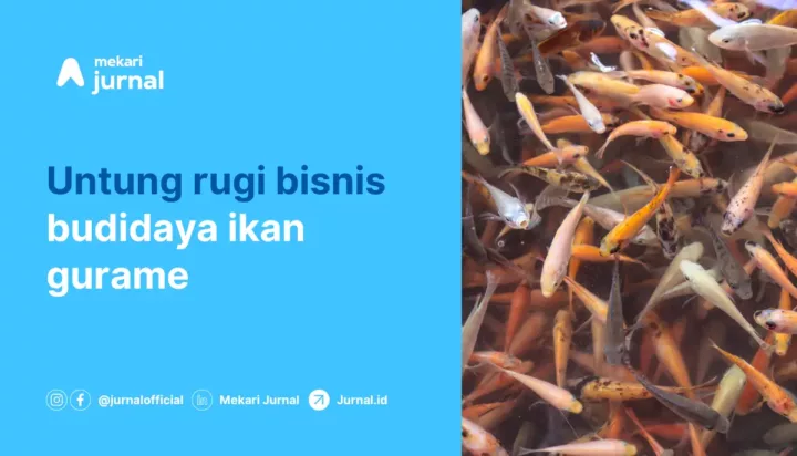 budidaya ikan gurame
