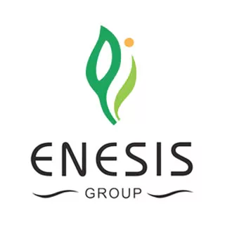 logo enesis